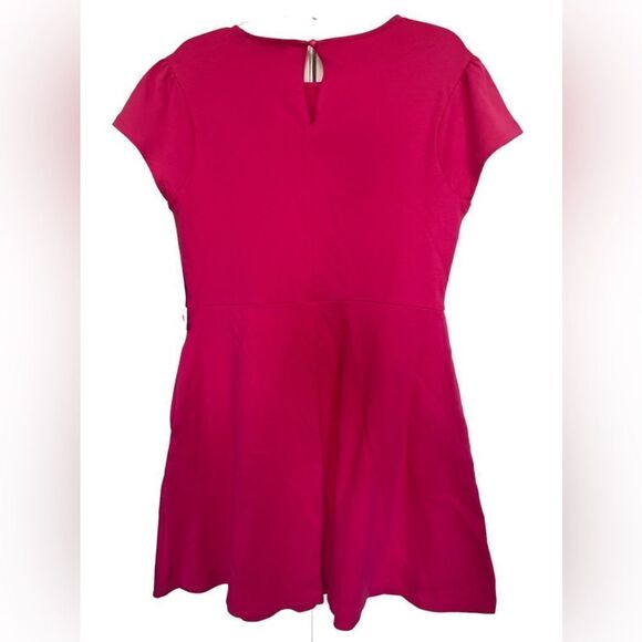 New York & Company Hot Pink Short Sleeve Preppy Fit & Flare Dress Size Large - Picture 2 of 9